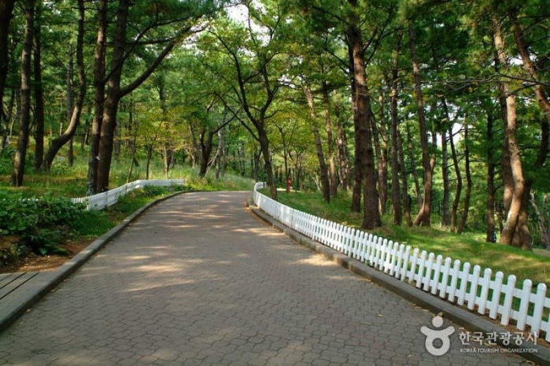 沙羅峰公園 (5/6)