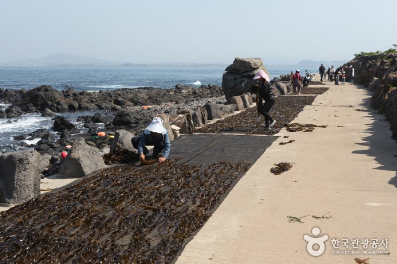 加波島 (2/9)