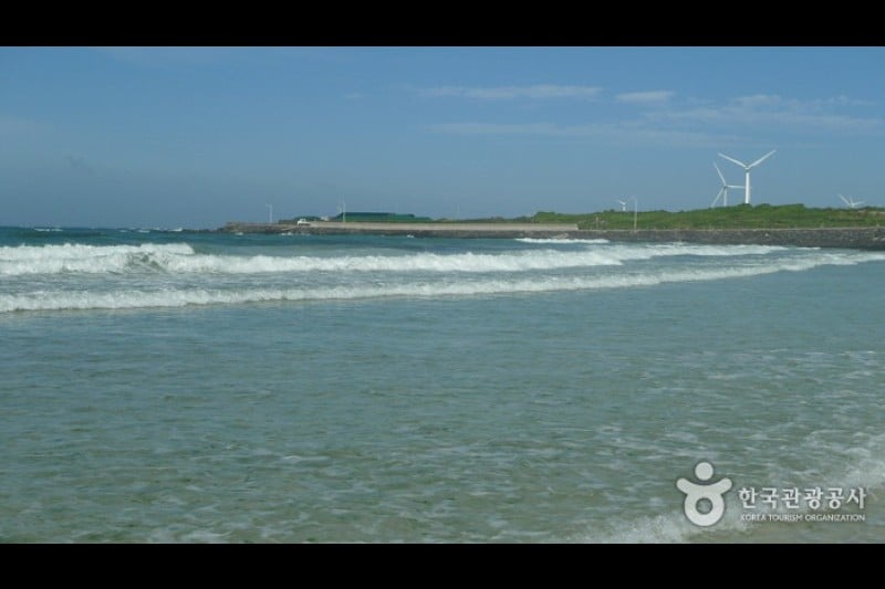 月汀里海邊(月汀里海水浴場)
