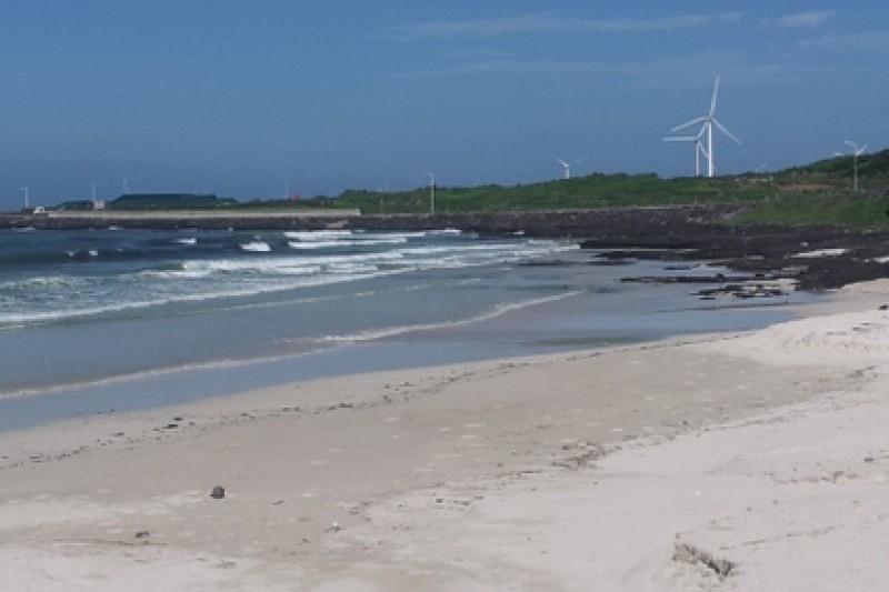 月汀里海邊(月汀里海水浴場)
