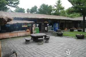 濟州翰林公園 石頭爺爺