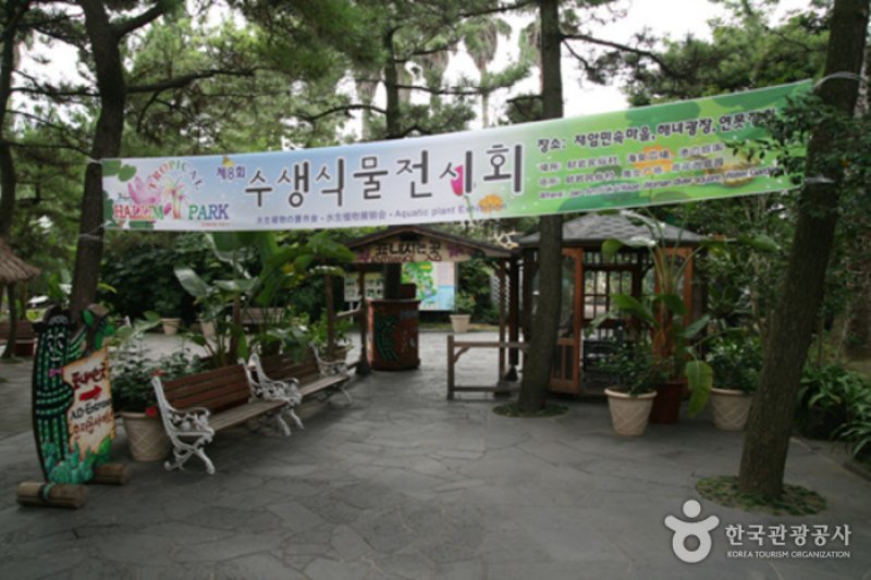 濟州翰林公園 石頭爺爺