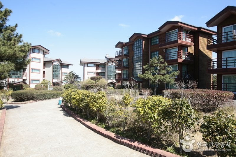 濟州金剛山渡假村(제주 금강산콘도) (1/11)