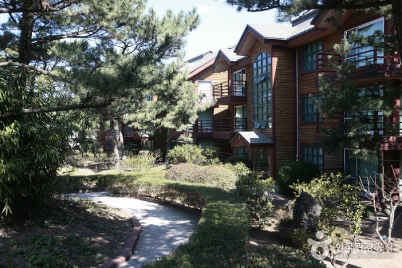 濟州金剛山渡假村(제주 금강산콘도) (2/11)