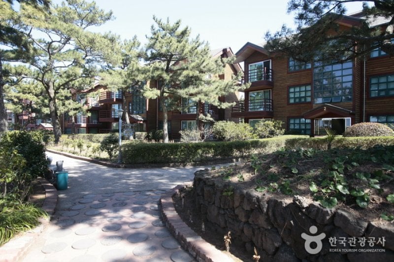 濟州金剛山渡假村(제주 금강산콘도) (3/11)