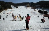 陽智Pine渡假村滑雪場