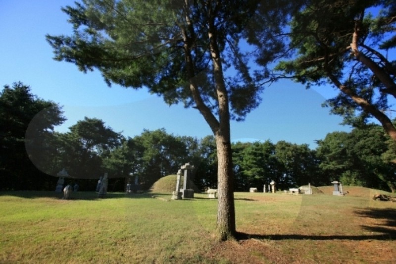 高陽西三陵 [UNESCO世界文化遺產]