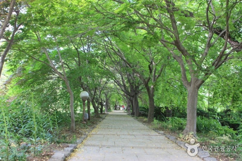 碧草池文化樹木園