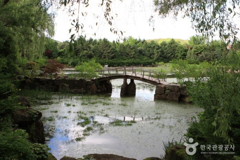 碧草池文化樹木園