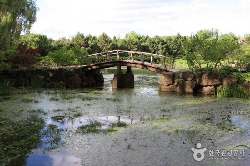 碧草池文化樹木園