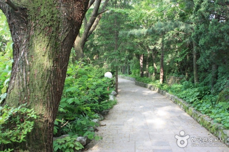 碧草池文化樹木園