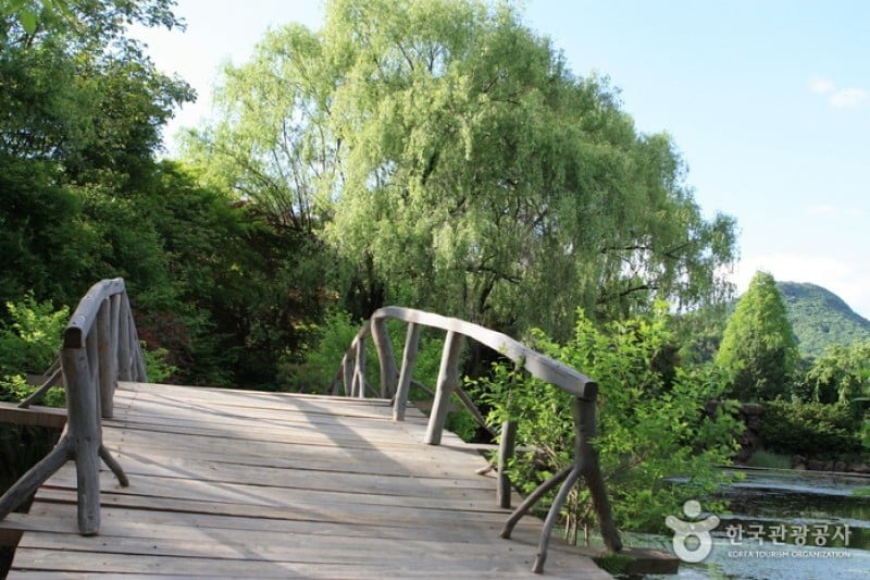 碧草池文化樹木園