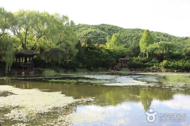 碧草池文化樹木園