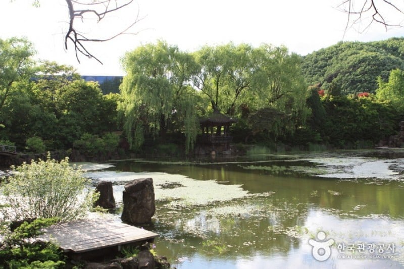 碧草池文化樹木園