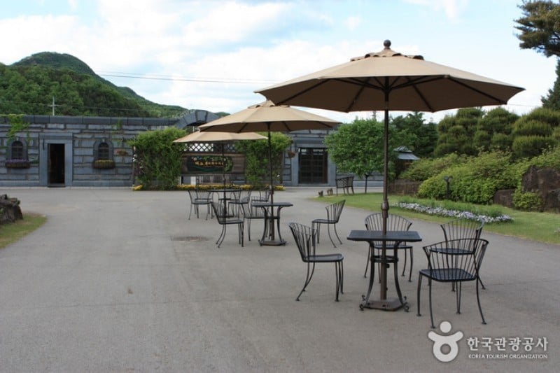 碧草池文化樹木園