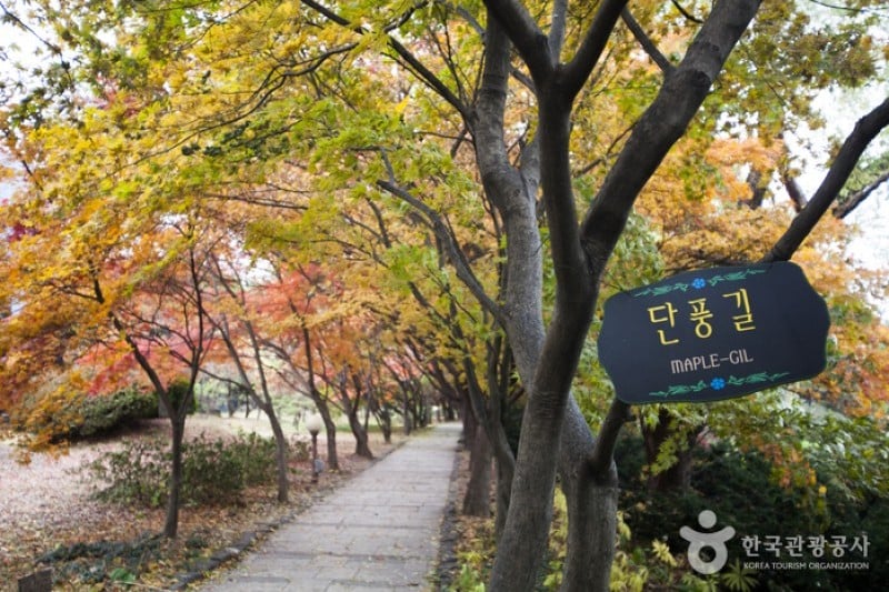 碧草池文化樹木園