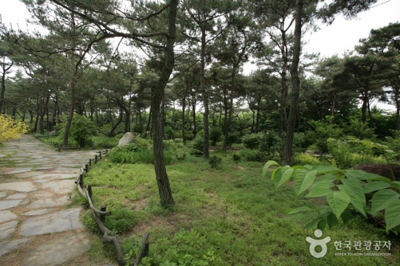 碧草池文化樹木園