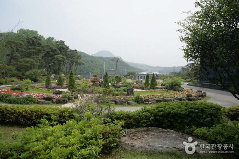 碧草池文化樹木園