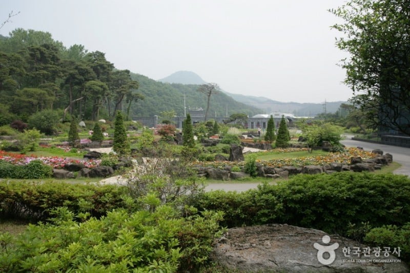 碧草池文化樹木園