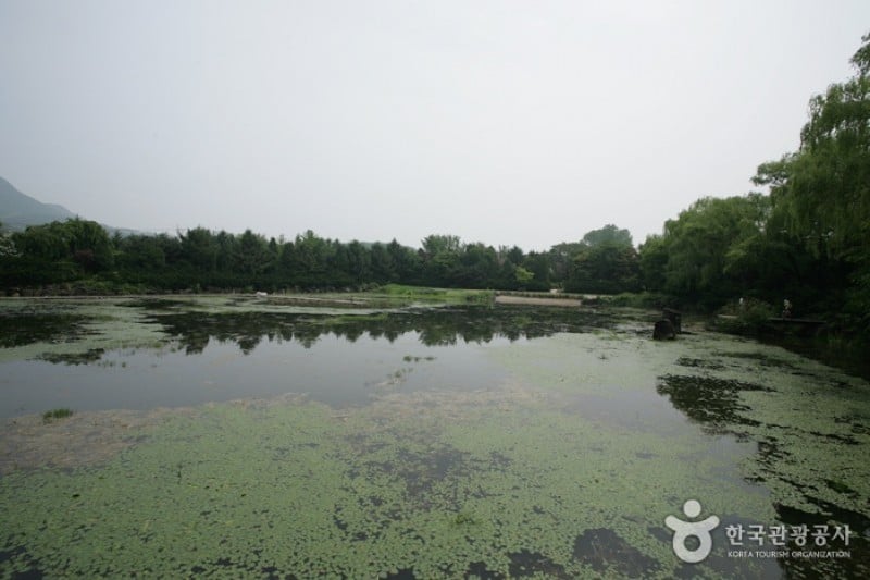 碧草池文化樹木園