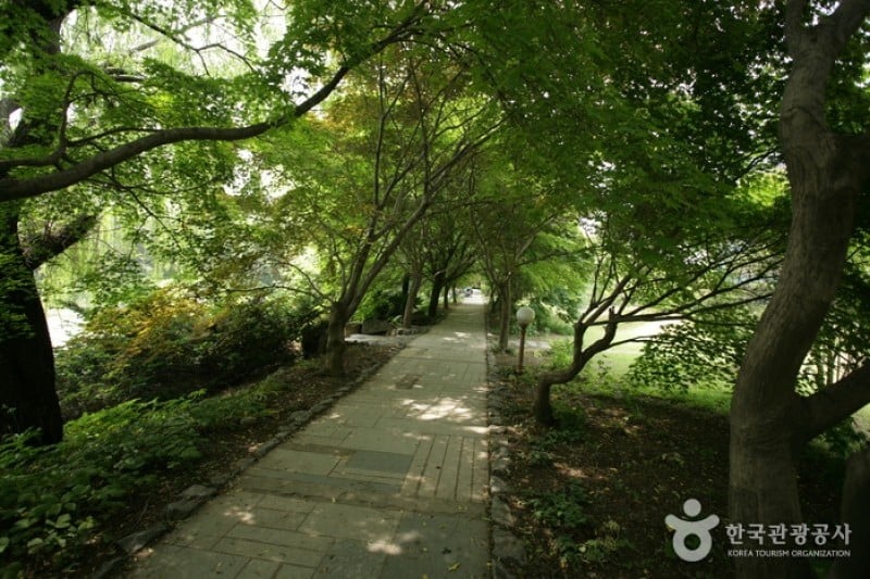 碧草池文化樹木園
