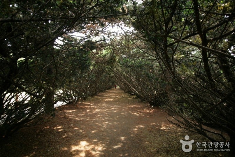 碧草池文化樹木園