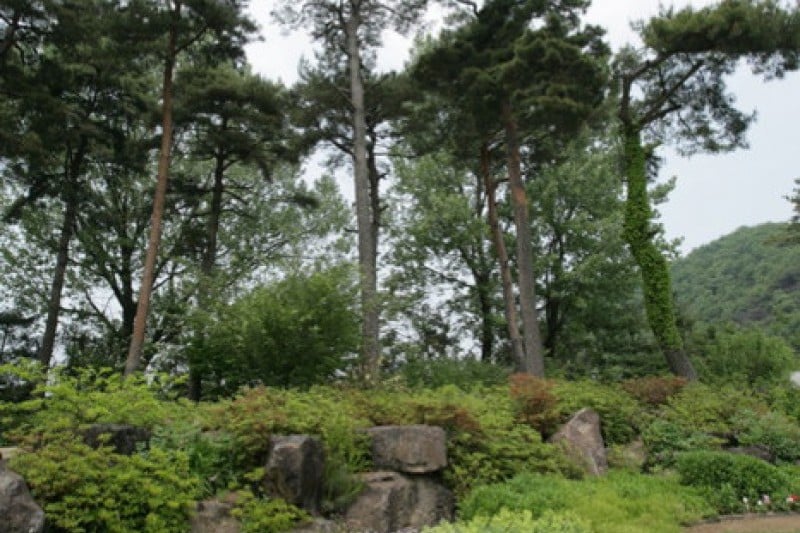 碧草池文化樹木園