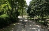國立樹木園(光陵森林)