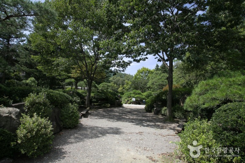 國立樹木園(光陵森林) (3/4)
