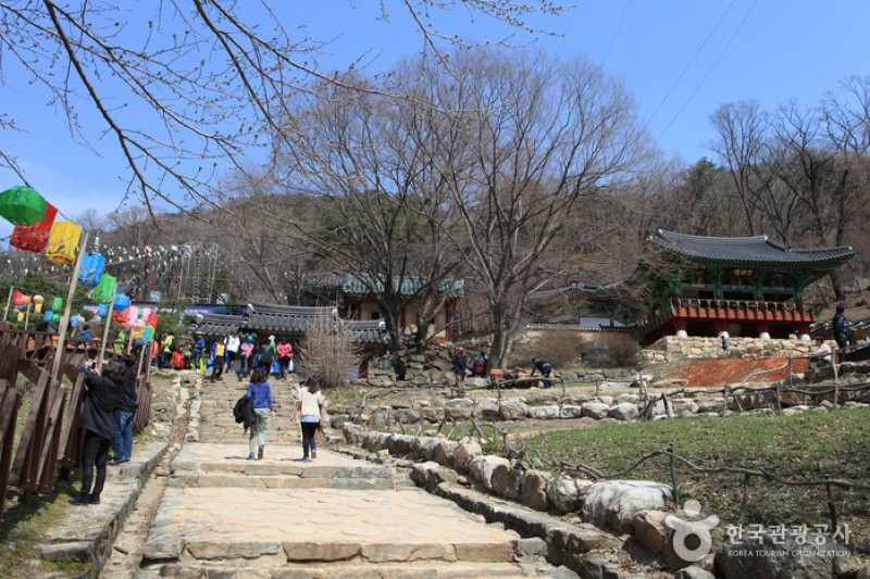 龍門寺(龍門山)