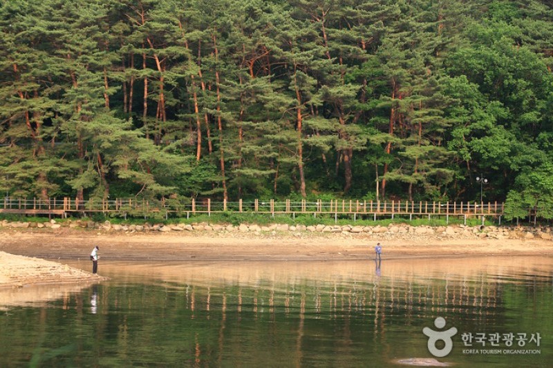 抱川山井湖