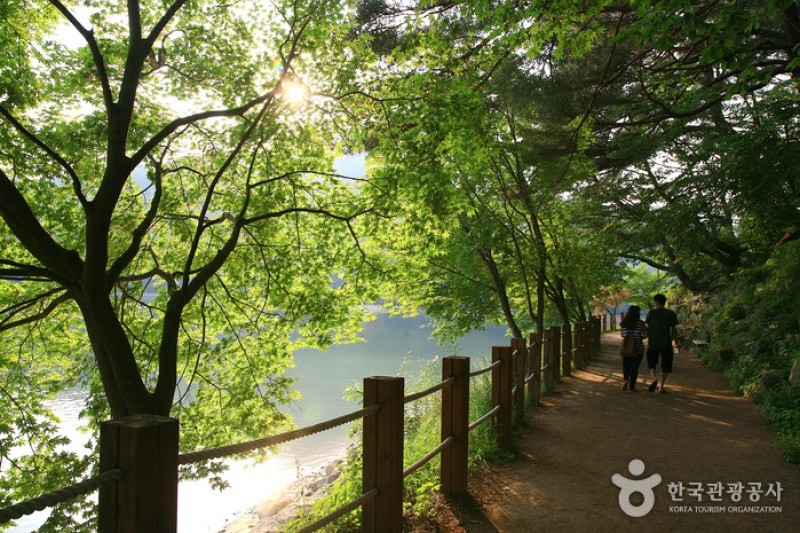 抱川山井湖
