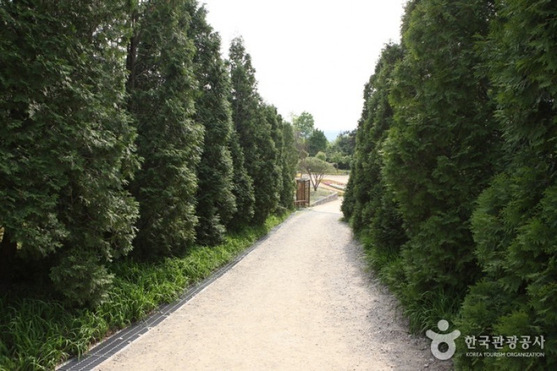 韓宅植物園