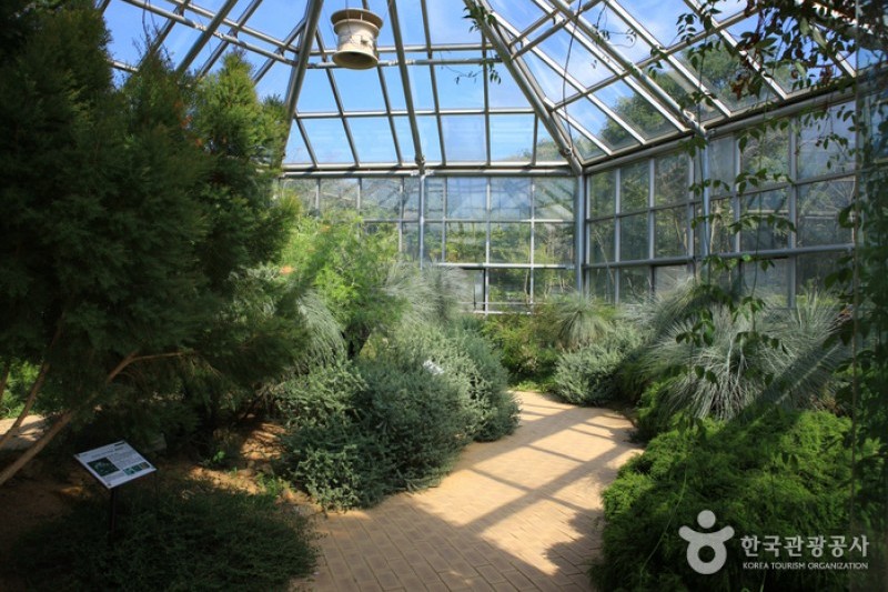 韓宅植物園