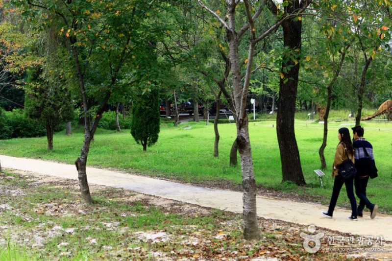 京畿道立水香樹木園