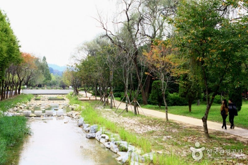 京畿道立水香樹木園