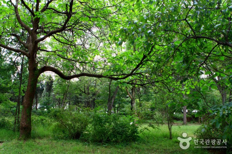 京畿道立水香樹木園