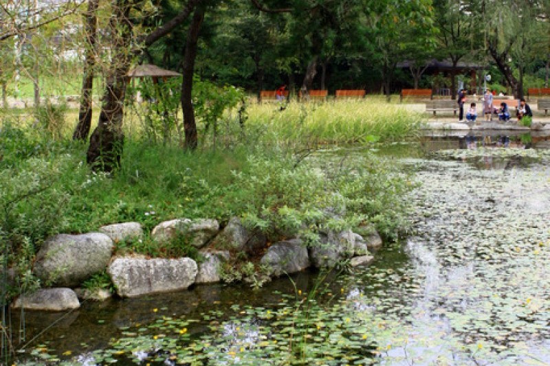 京畿道立水香樹木園