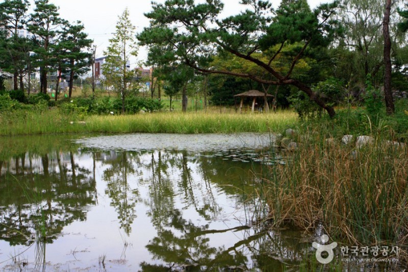 京畿道立水香樹木園