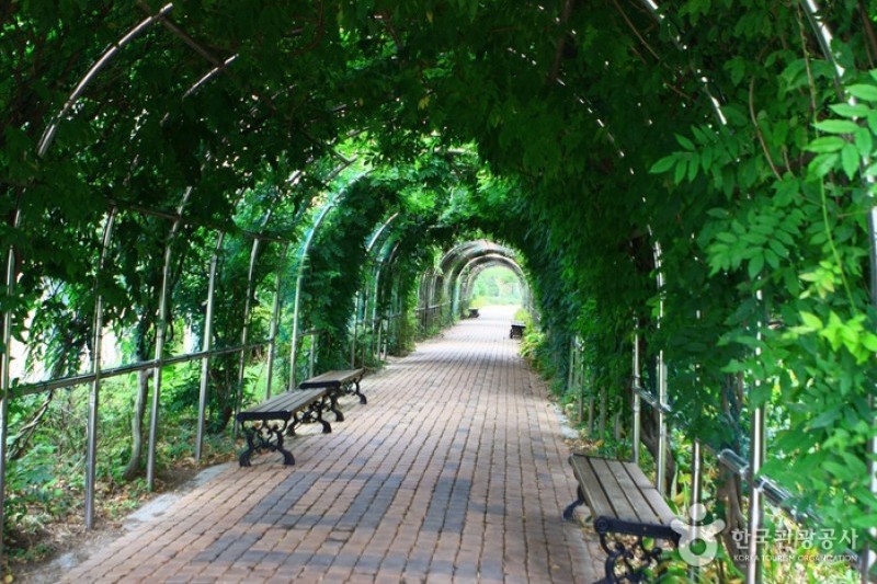 京畿道立水香樹木園