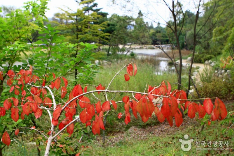 京畿道立水香樹木園