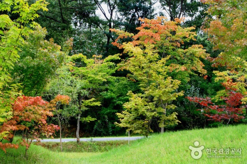 京畿道立水香樹木園