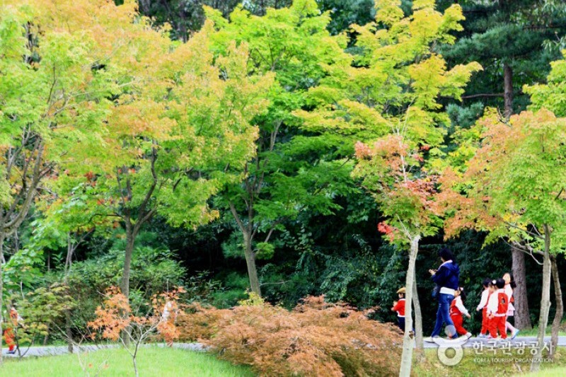 京畿道立水香樹木園