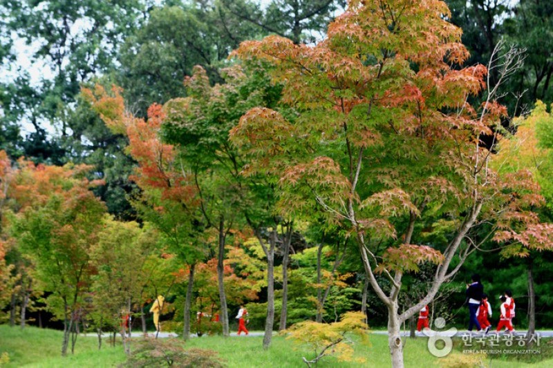 京畿道立水香樹木園