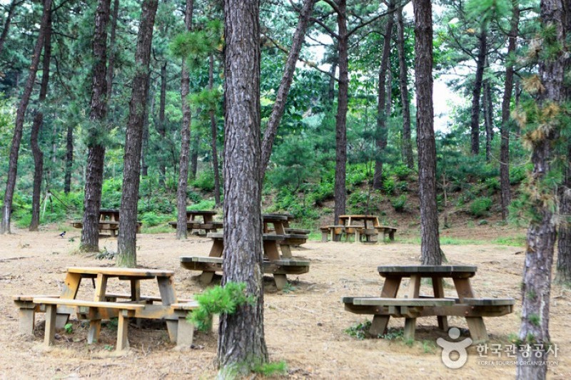 京畿道立水香樹木園