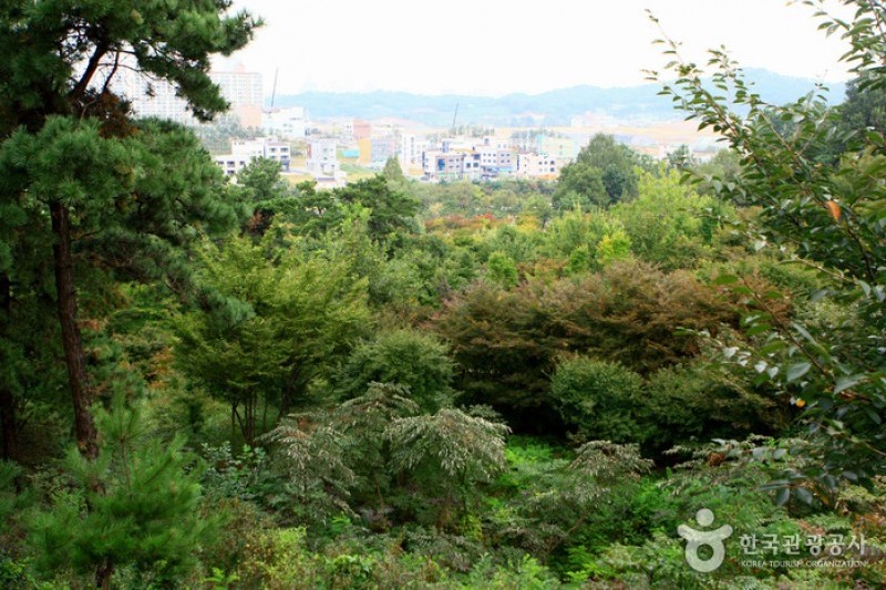 京畿道立水香樹木園