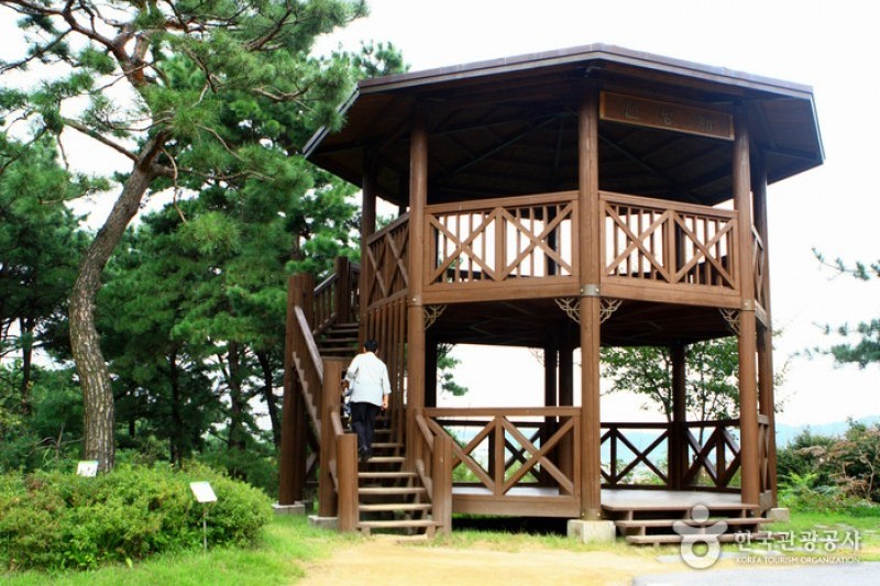 京畿道立水香樹木園