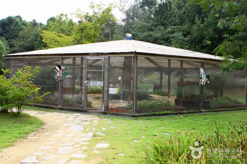 京畿道立水香樹木園