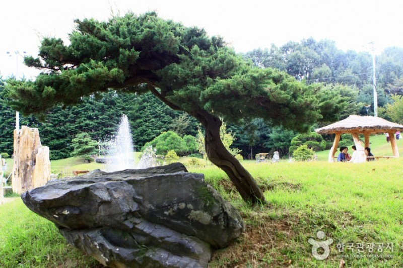 京畿道立水香樹木園