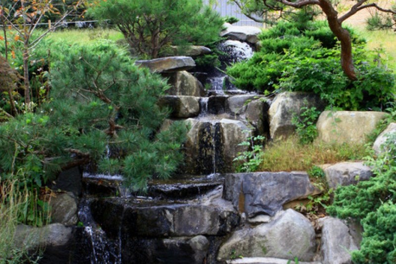 京畿道立水香樹木園